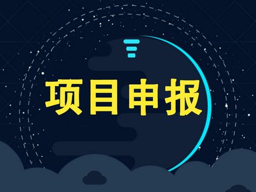 企業(yè)可以獨自申請項目補貼嗎？成功率怎么樣？