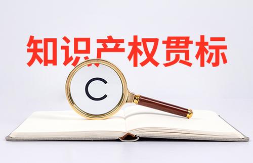 小微初創(chuàng)企業(yè)怎么申請知識產(chǎn)權(quán)貫標(biāo)？